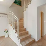In - Istrien 10330 Tatil Evi